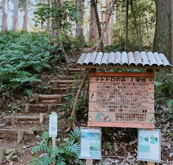 となりのトトロのロケ地の場所はどこ？舞台は所沢の松郷！何年代の設定 