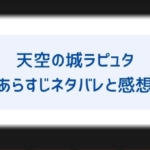 パズーはシータとその後どうなる そもそもお互い好きなの 大人になって結婚する可能性についても